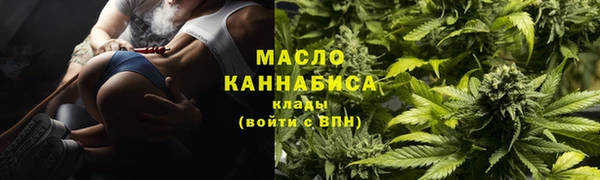 индика Армянск