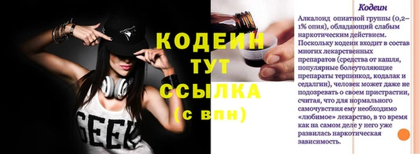 индика Армянск